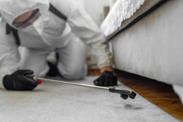 Professional Bed Bug Control technician working in Calhoun County County, AL